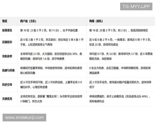 图卢兹主场分析 图卢兹主场分析