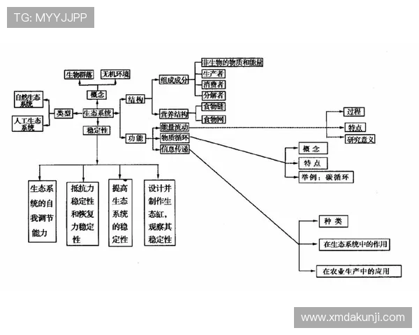 布赖坎近期比赛阅读能力与表现稳定性分析 布赖坎近期比赛阅读能力与表现稳定性分析